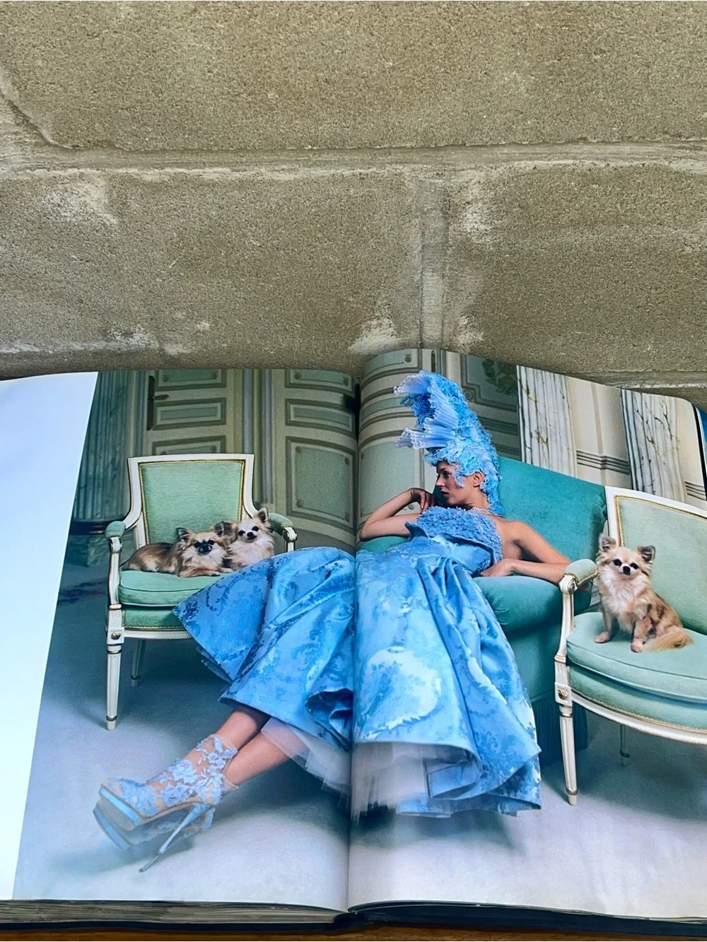 Rizzoli Kate: The Kate Moss Book